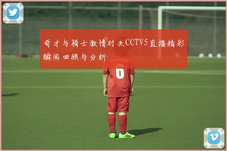 奇才与骑士激情对决CCTV5直播精彩瞬间回顾与分析