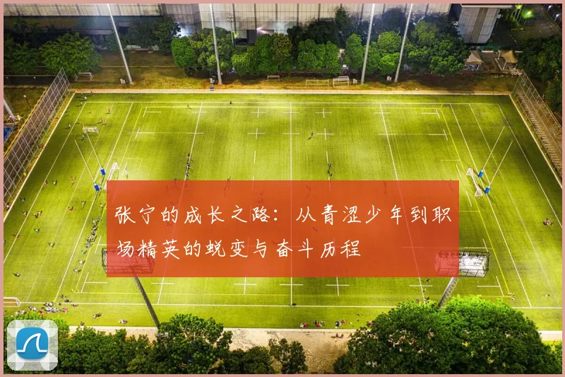 张宁的成长之路：从青涩少年到职场精英的蜕变与奋斗历程